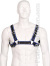Bulldog Zipper Design Leder Harness - Schwarz/Blau 