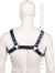 Bulldog Zipper Design Leder Harness - Schwarz/Blau 