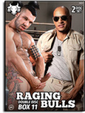 Raging Bulls 11 - 2 DVDs 